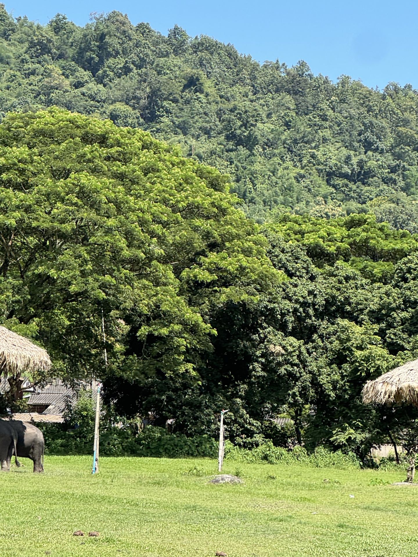 Explore Chiang Mai with Trip.com for a worry-free and fun-filled 5-day, 4-night trip!