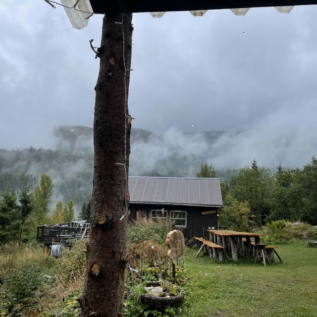 Hagabrekka Wanderland Yoga Retreat 🧘 