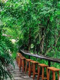 Warista cafe and garden 🥤🌳