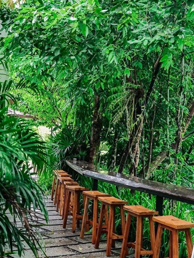 Warista cafe and garden 🥤🌳