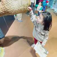 《🦖侏羅紀恐龍探險樂園香港站🦖》