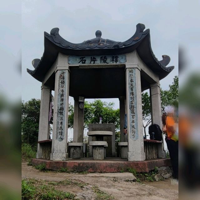 莫說青山多障礙~風也急風也勁😂