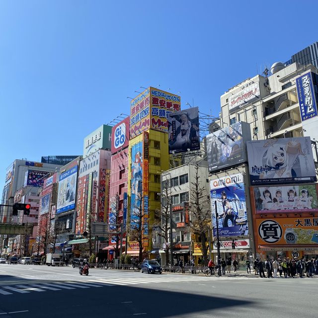 秋葉原-主力打電玩遊戲