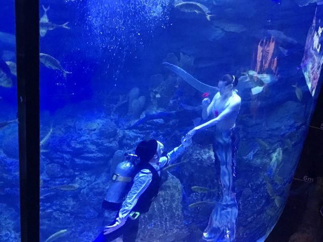 부산 해운대 씨라이프 아쿠아리움🐠