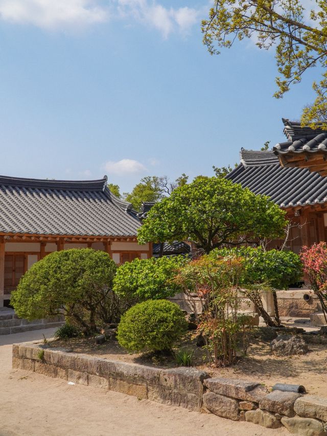 활기찼던 경주의 교촌마을