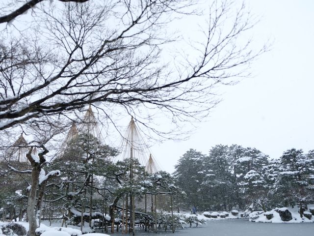 石川縣的福地-雪景遊