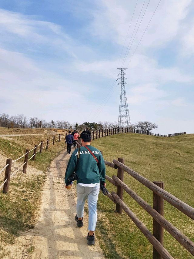 바람이 어마무시! 평창 대관령 삼양목장🐏