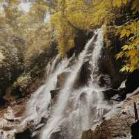 Kanto Lampo Waterfall, Bali