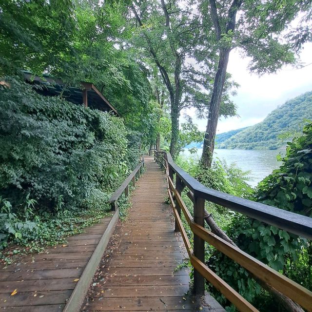 韓國南怡島📸周邊遊覽分享😍熱門景點: 冬季戀歌場地✨