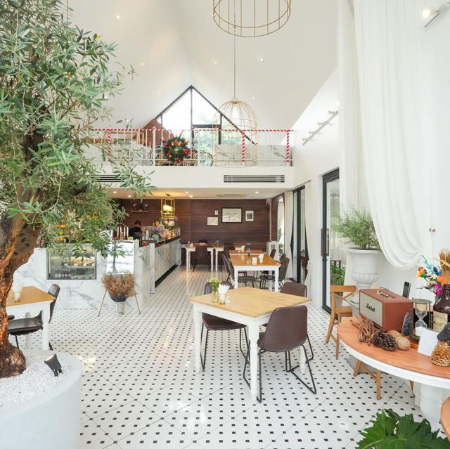 📍 DishCovery greenery