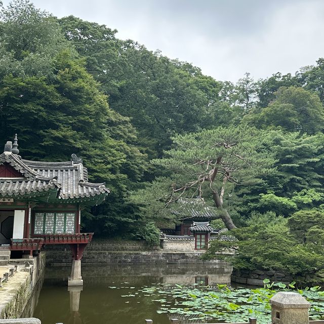 도심 한가운데 자연이 숨쉬는 곳 [창덕궁 후원]