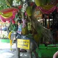 วัดท่าการ้อง