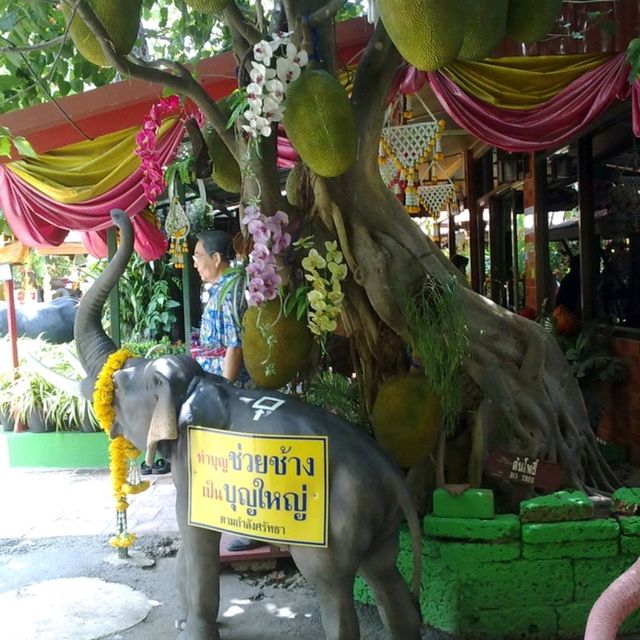 วัดท่าการ้อง