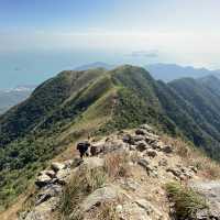 香港🇭🇰｜🌟行山必選之一 - 大嶼山鳳凰徑的壯麗徒步之旅 ⛰️