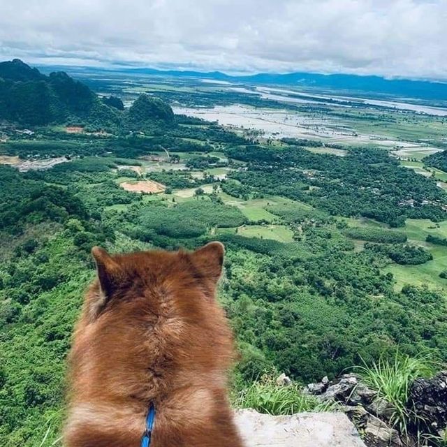 Speechless Mount Kyar Inn ⛰️🌳🦌