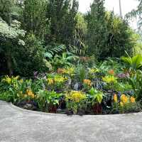 A treat to the senses@National Orchid Garden