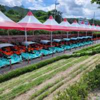Unique Way To Enjoy Seoul Countryside!
