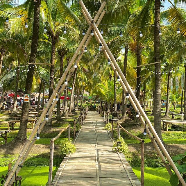 치앙마이 바파오 코코넛 플리마켓 이색적인 동남아 풍경🌴