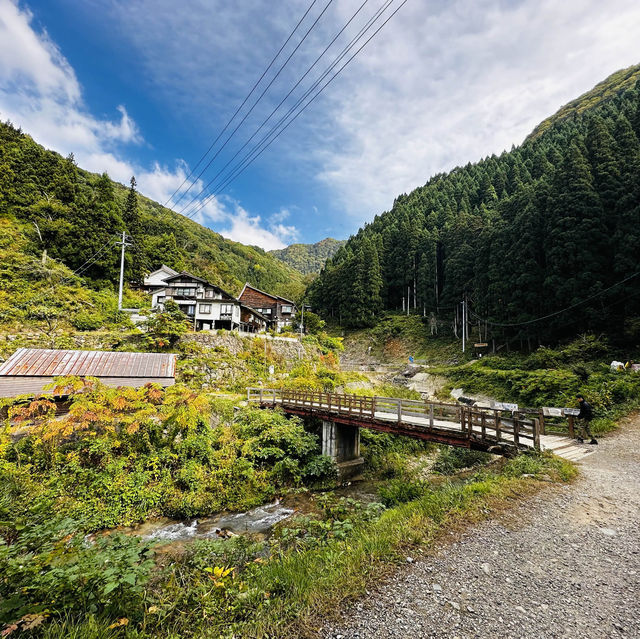 Life’s checklist - Nagano’s Snow Monkey Park