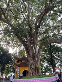 เจดีย์เฉินก๊วก (Chua Tran Quoc) @Hanoi🇻🇳