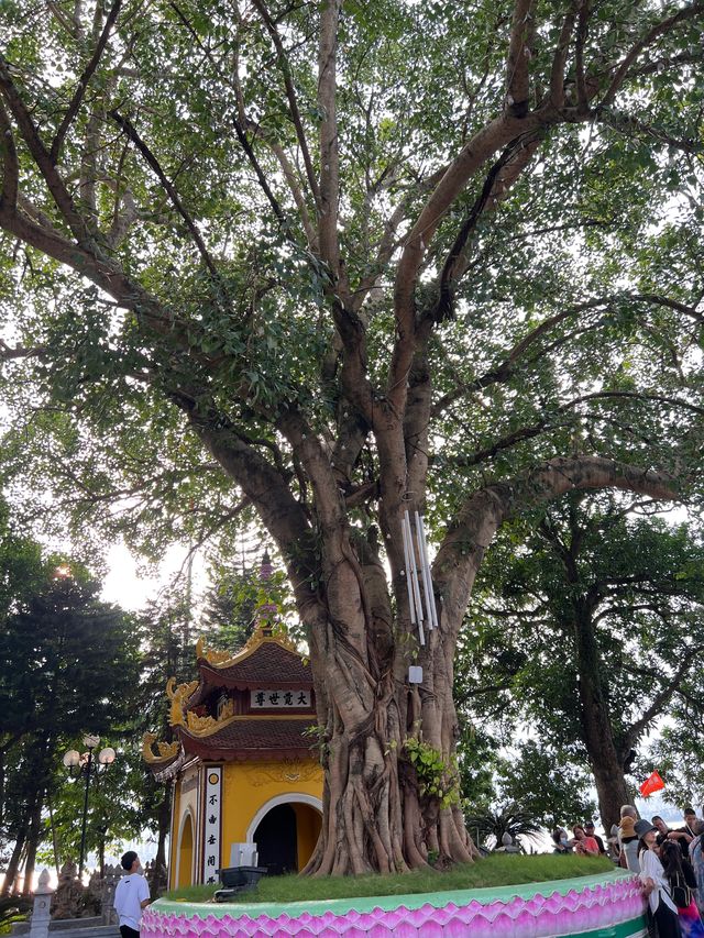 เจดีย์เฉินก๊วก (Chua Tran Quoc) @Hanoi🇻🇳