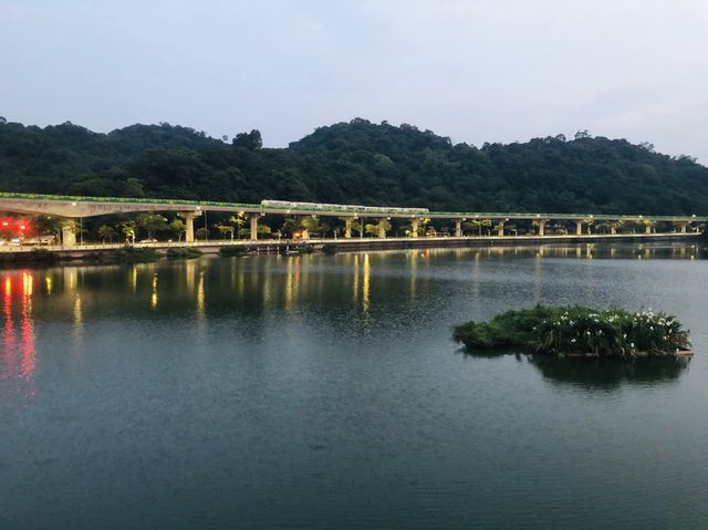 台北｜🌳🌅 Dahu Park 大湖公園