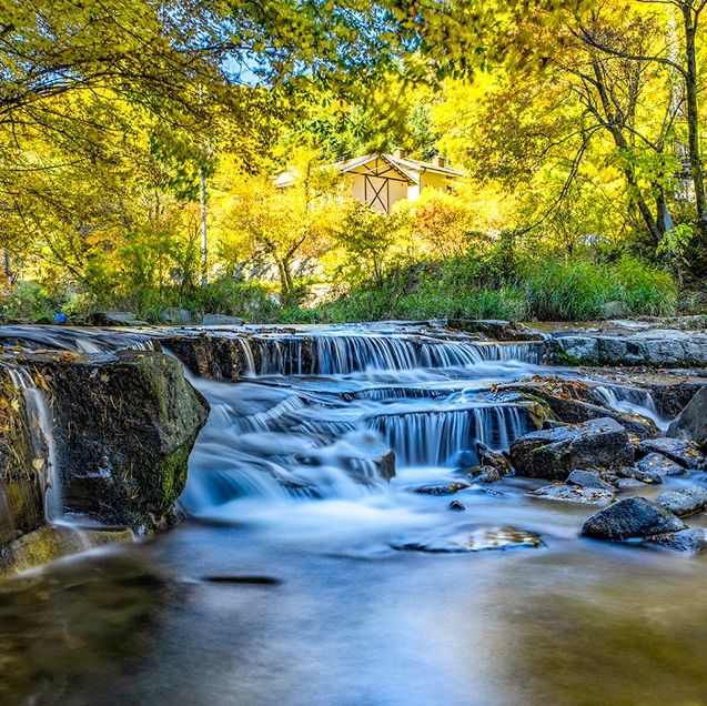 Beautiful Falling season in Jinjori Valley 