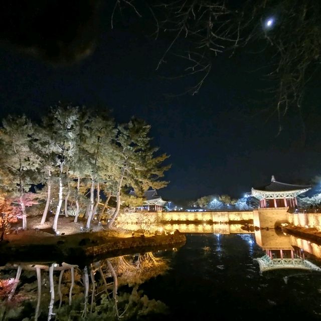 Gorgeous night in Gyeongju