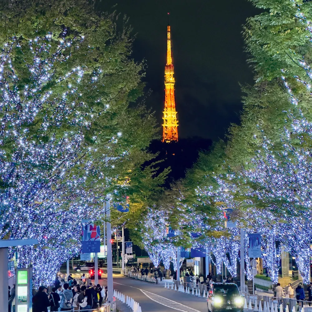 光影燦爛的聖誕燈飾：東京六本木之丘