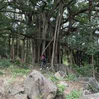14km輕鬆郊遊