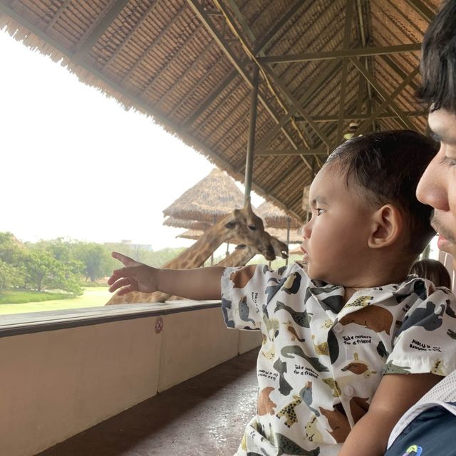 “Safari World” ซาฟารีครั้งเดียวไม่เคยพอ🌳