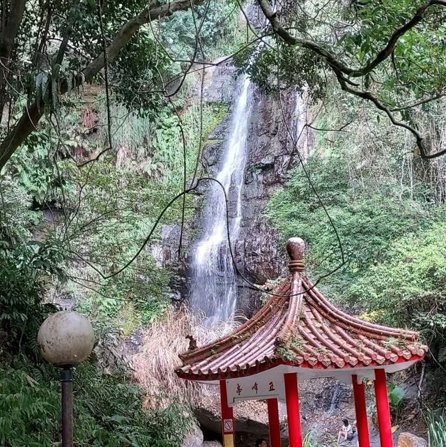 〈五峰旗瀑布〉蘭陽十景，宜蘭著名景點，越爬越涼快‼️