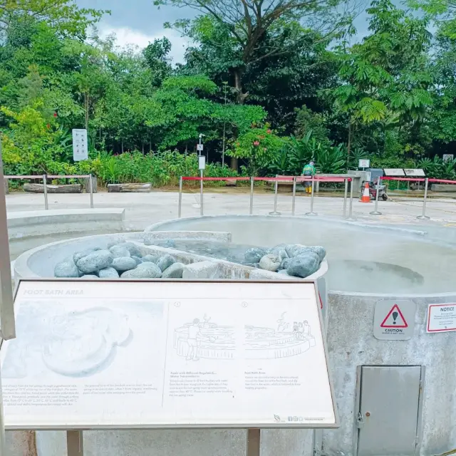 Calming visit to Sembawang Hot Springs 