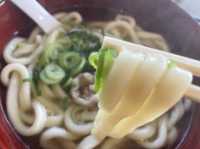 【福岡】コスパ最強製麺屋さん直営うどん屋さん
