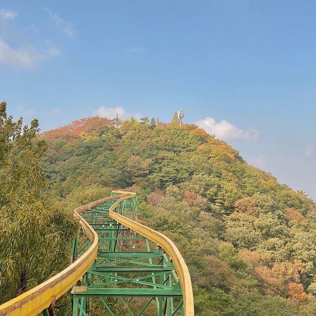 광주 단풍놀이명소 추천, 지산유원지 모노레일 ✨