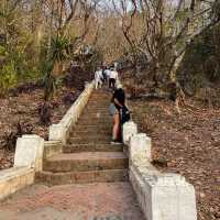 ชมวิวหลวงพระบางแบบ360องศา ณ วัดพระธาตุพูสี 