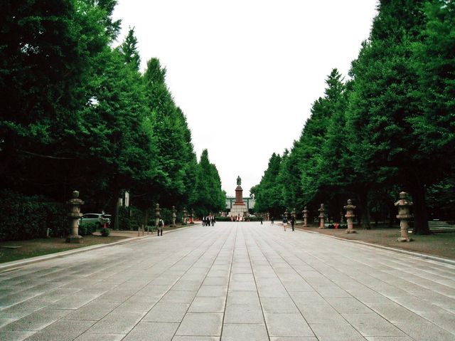 What to go to Tokyo for