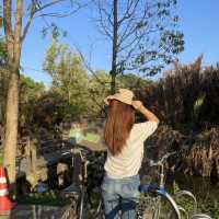 Bang Kachao  บางกะเจ้า 