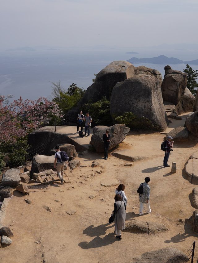 Birds View of Miyajima Island