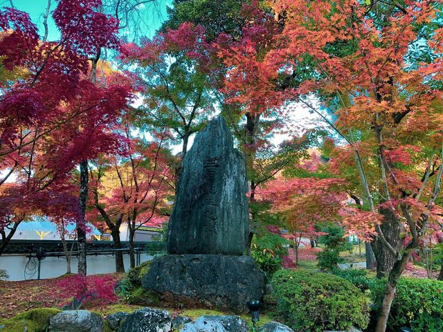 เที่ยวใบไม้เปลี่ยนสี เกียวโต วัดเอกันโดเซ็นริน 🍁⛩️