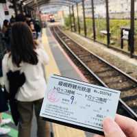 3月的嵐山嵯峨野火車 鐵路風情