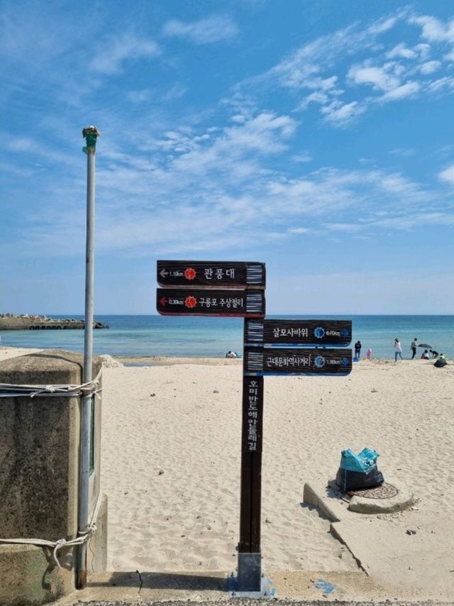 조용하고 한적한 포항 구룡포해수욕장🏖