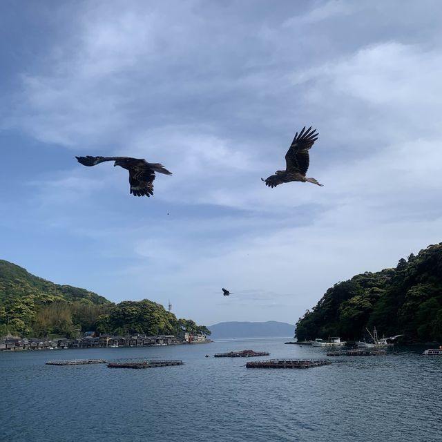 【京都】伊根湾巡りの遊覧船に乗船🚢