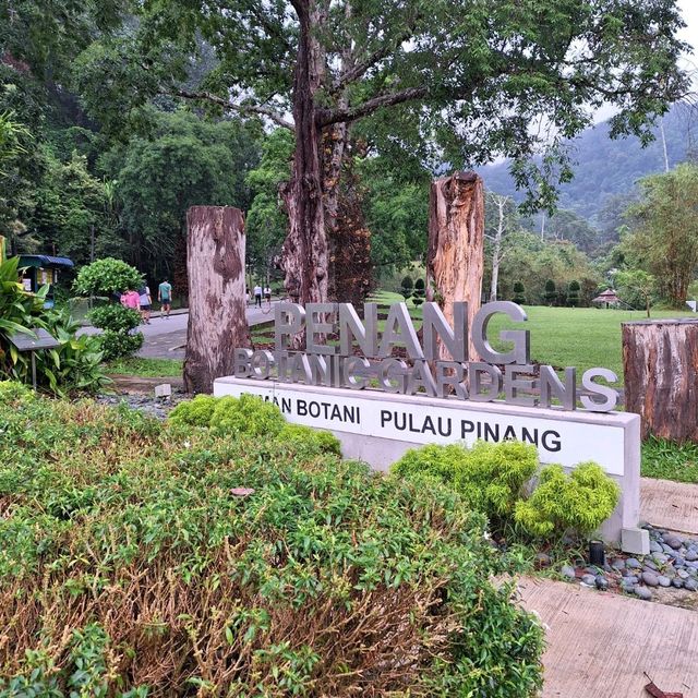 🌲 Lush Greens @ Penang Botanical Gardens