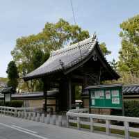두근두근여름휴가 일본 후쿠오카 사찰 여행 Shofukuji 聖福寺