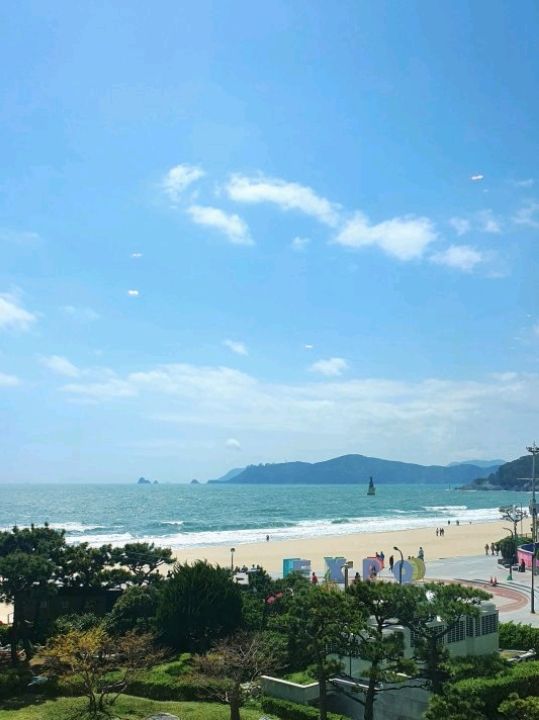 부산 해운대가 하눈에 보이는 스타벅스
