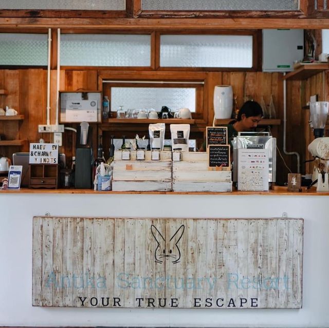 Antika café & resort 
