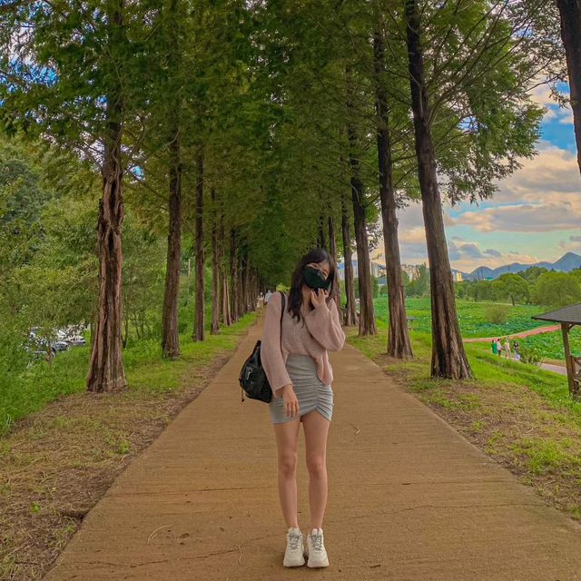 올 가을 꼭 가봐야 할 서울근교 여행지 