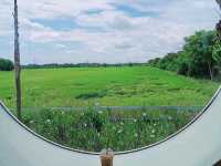 บ้านกังหัน คาเฟ่น่ารักใกล้อุทยานพระพิฆเนศ