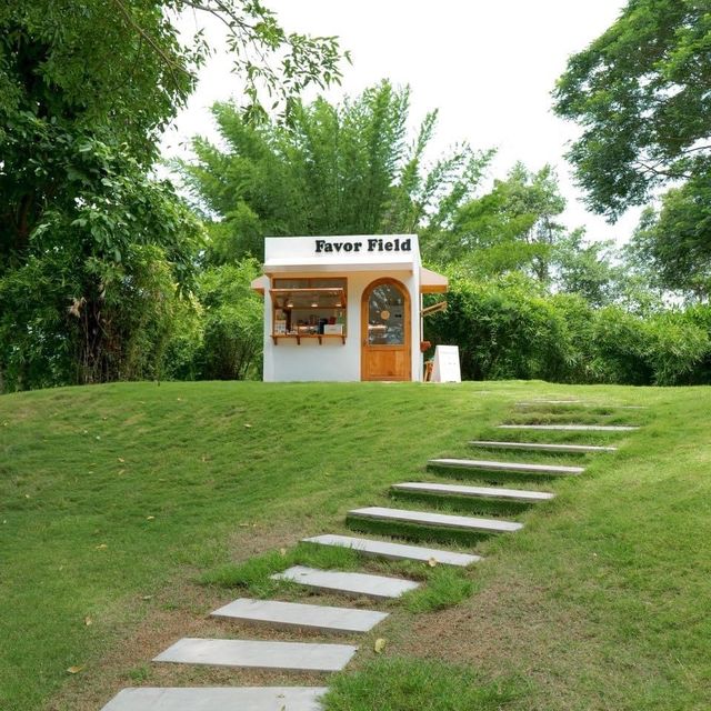 คาเฟ่สายกรีน Favor Field Cafe สวนผึ้ง ราชบุรี